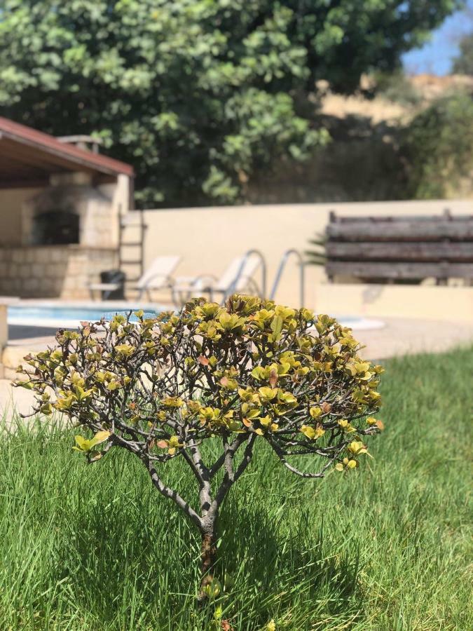 Afroditi House Stroumbi Екстериор снимка
